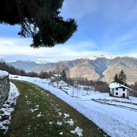 Il Pino *